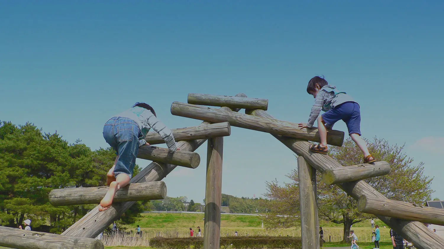 その子らしく成長できる未来のために